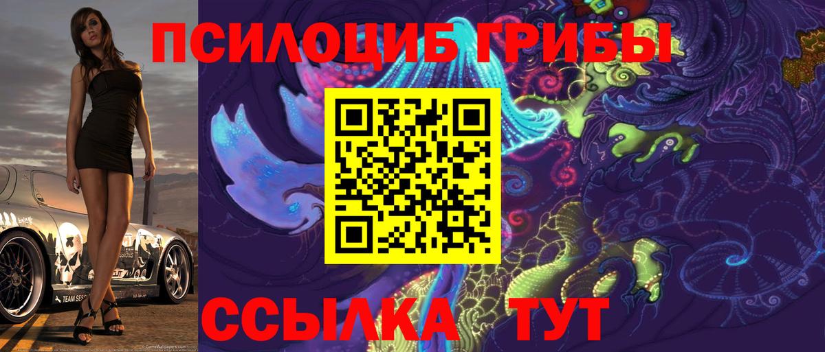 Псилоцибиновые грибы мухоморы Сокол